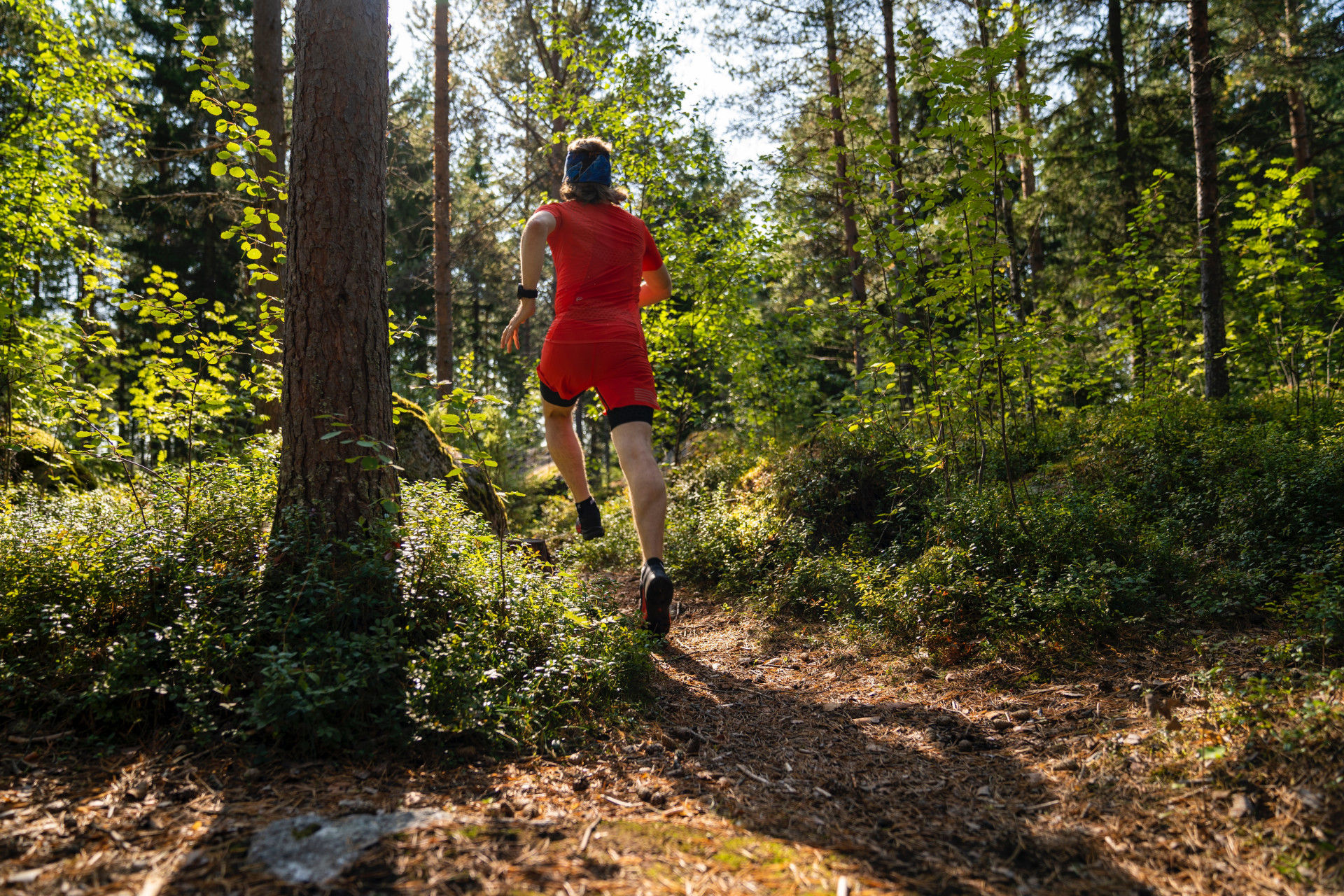 Courir dans la forêt